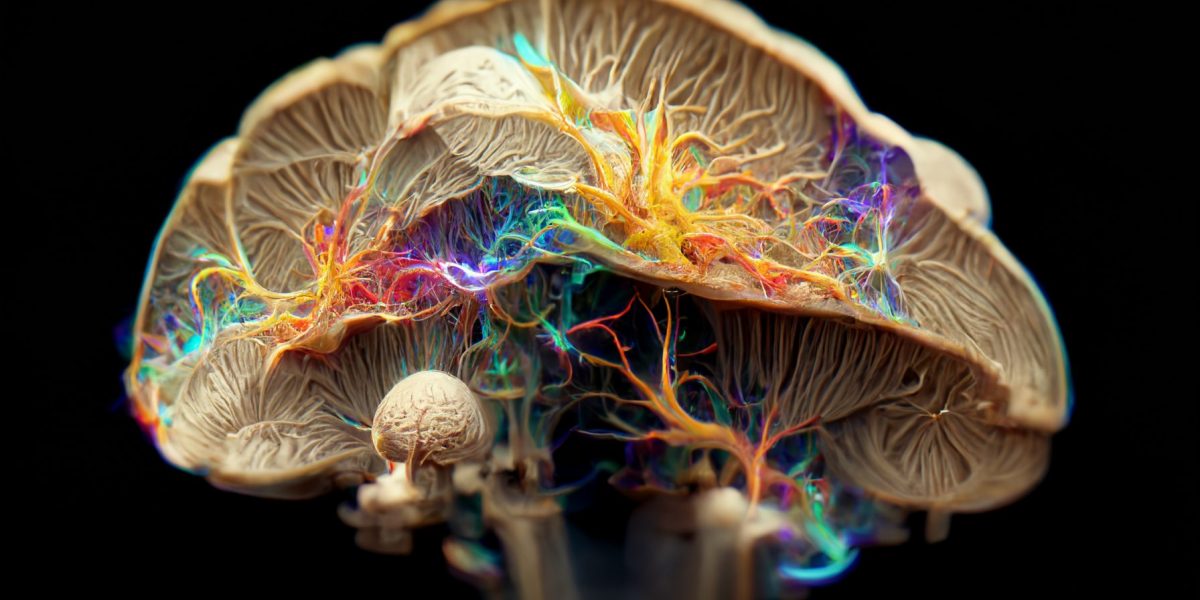 houbový mozek