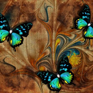 papillon psychédélique 2C-B-FLY Ann Shulgin