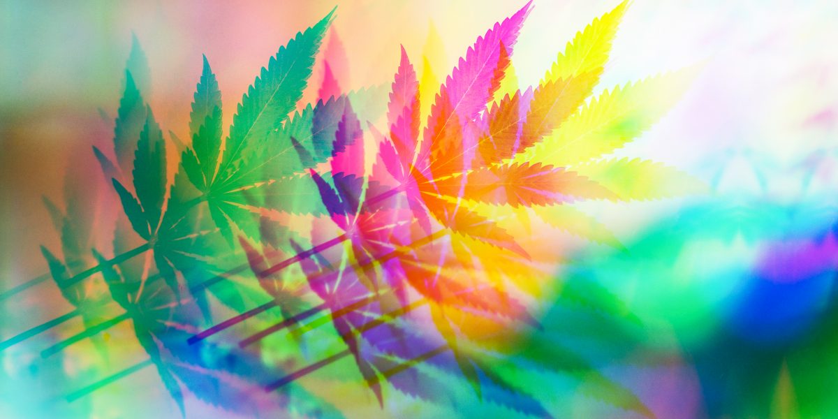 Cannabis-Psychedelika