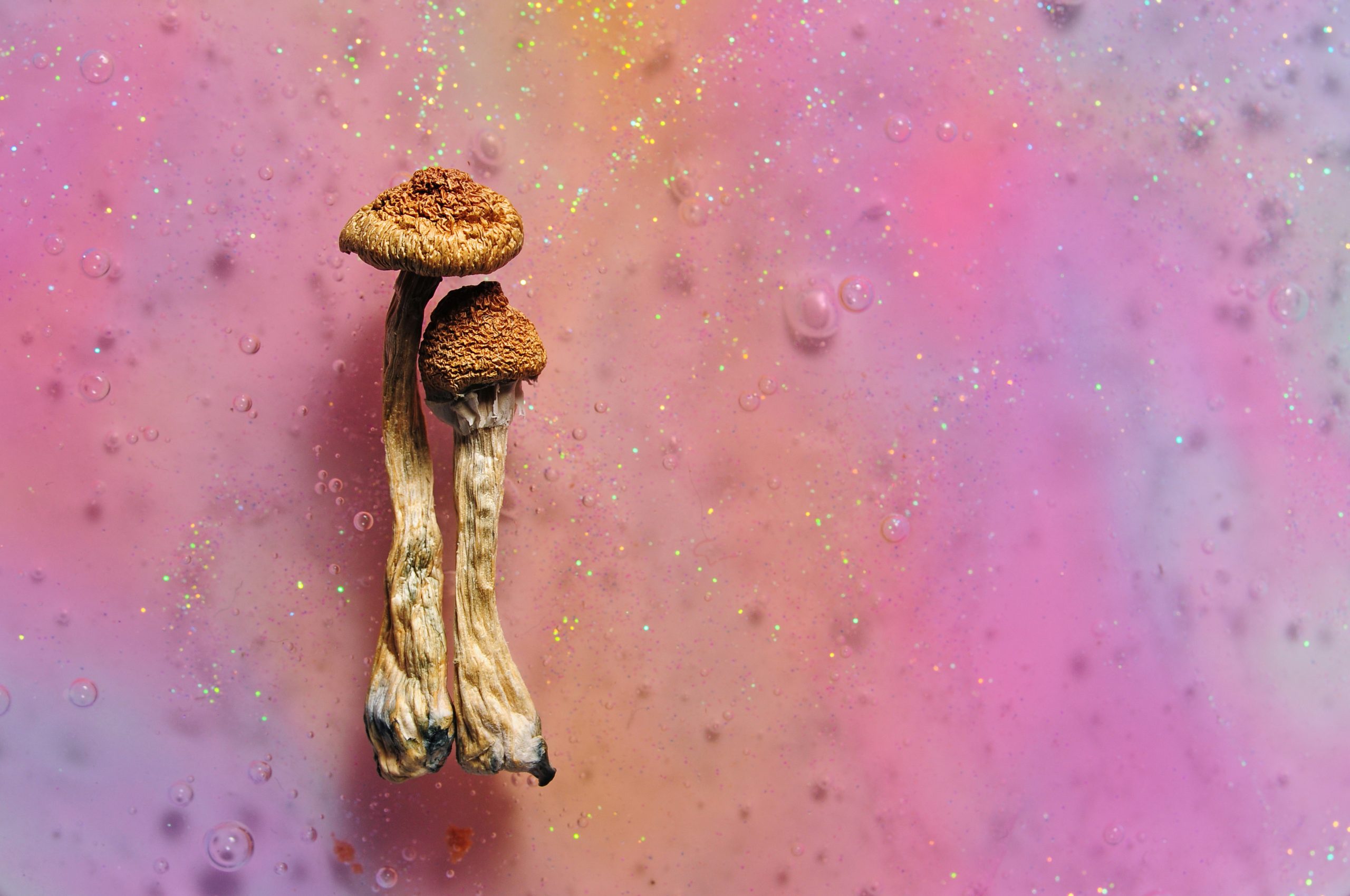 solo psychedelic two shrooms