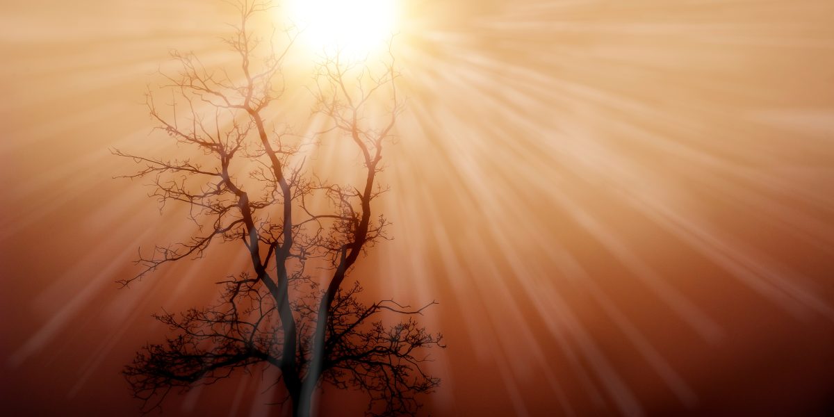 shutterstock 2221707785