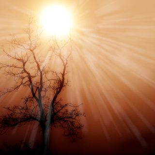 shutterstock 2221707785