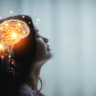 shutterstock 2461185047 huge