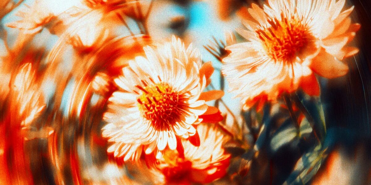 rsz egor litvinov swrz xhikxw unsplash