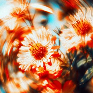 rsz egor litvinov swrz xhikxw unsplash