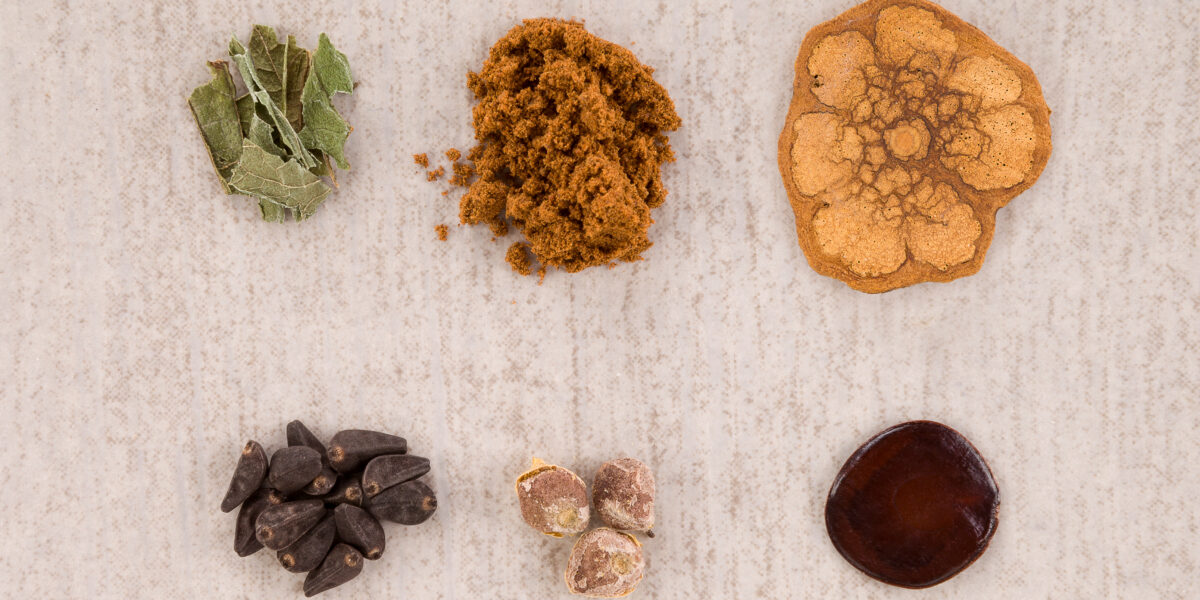 shutterstock 1319168252