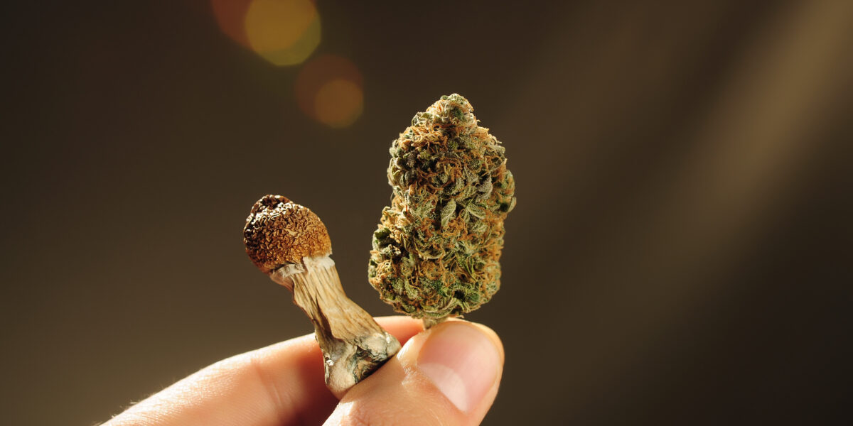 shutterstock 1948133230