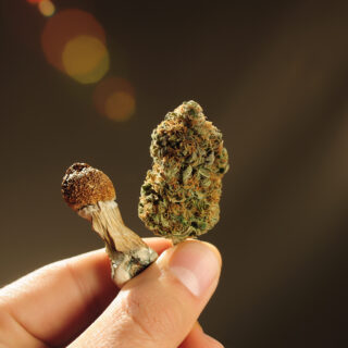 shutterstock 1948133230