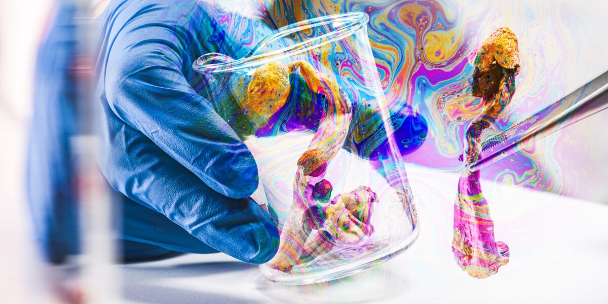 shutterstock 2104899230