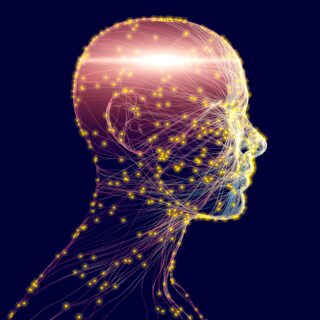 shutterstock 2127655217