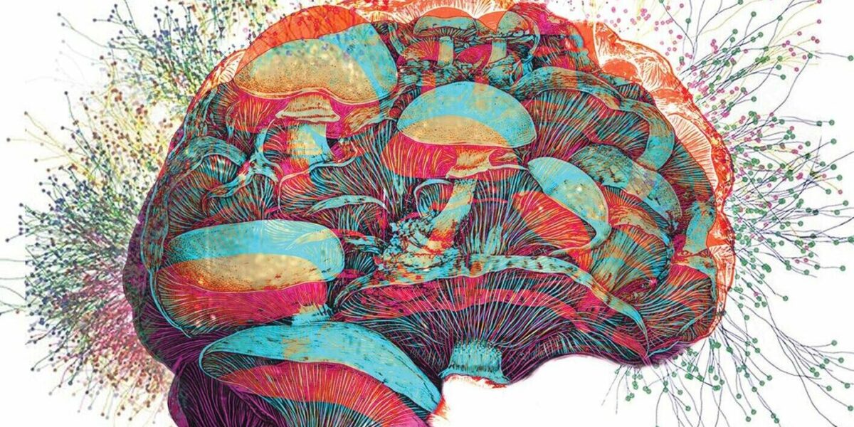 rsz 2bioengineering enlightment cover front