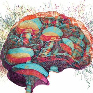 rsz 2bioengineering enlightment cover front