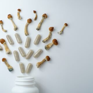 shutterstock 2060221841