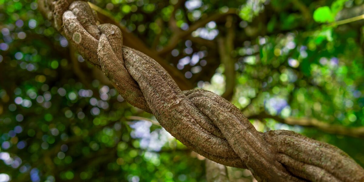 shutterstock 2263243765