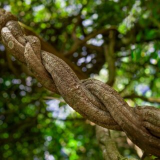 shutterstock 2263243765