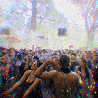 Psychedelics at festivals