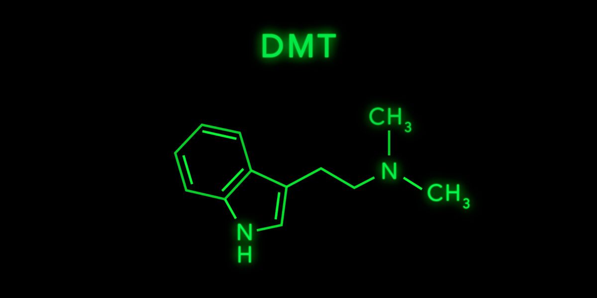 shutterstock 1931999552