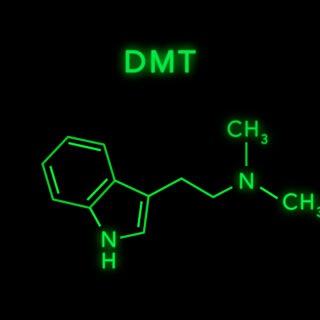 shutterstock 1931999552