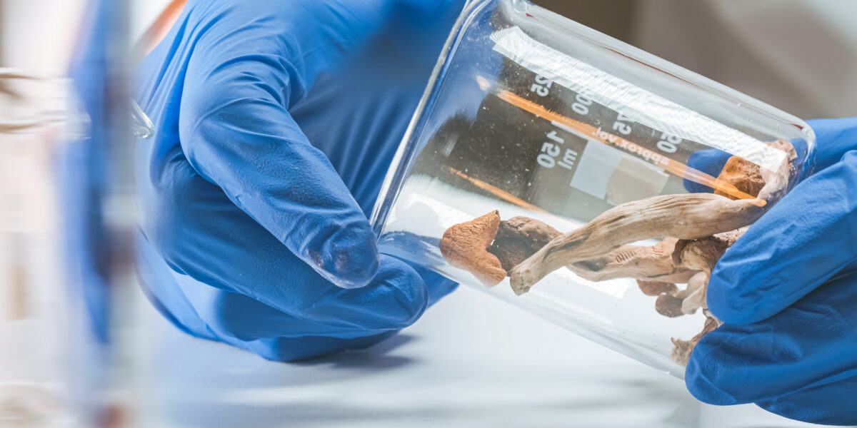 shutterstock 1948643866