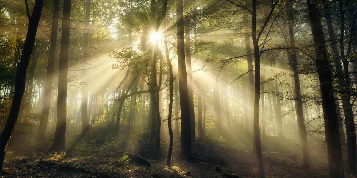 shutterstock 2515637847