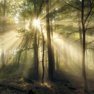 shutterstock 2515637847