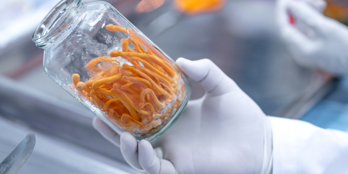 shutterstock 1140393641