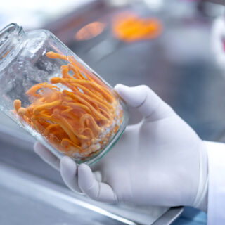 shutterstock 1140393641