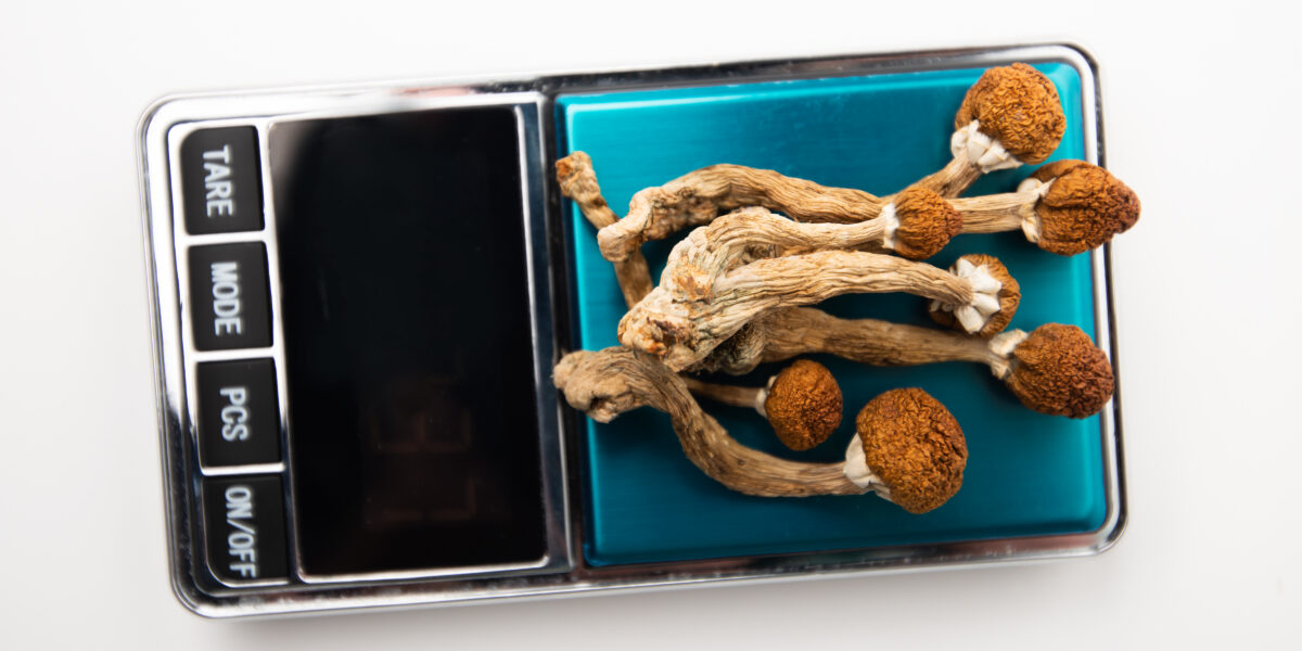 shutterstock 1914485053