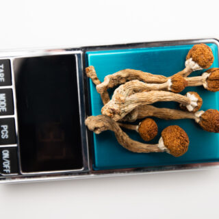 shutterstock 1914485053