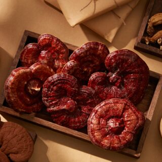 shutterstock 2218536175