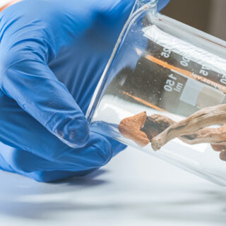 shutterstock 1948643866