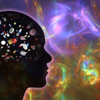 shutterstock 2214552825