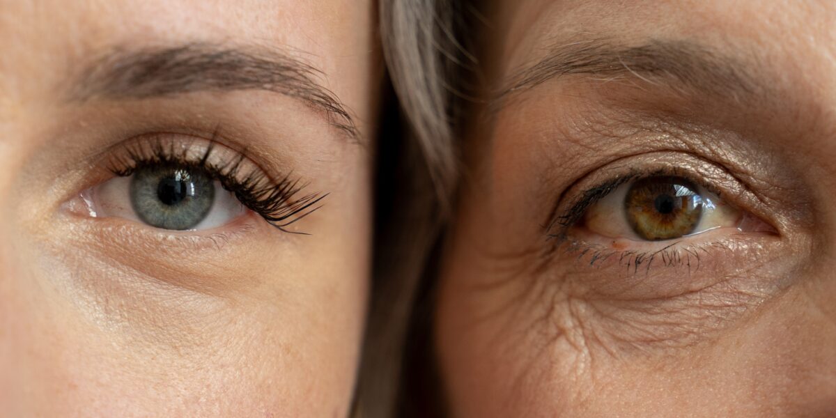 shutterstock 2480026517