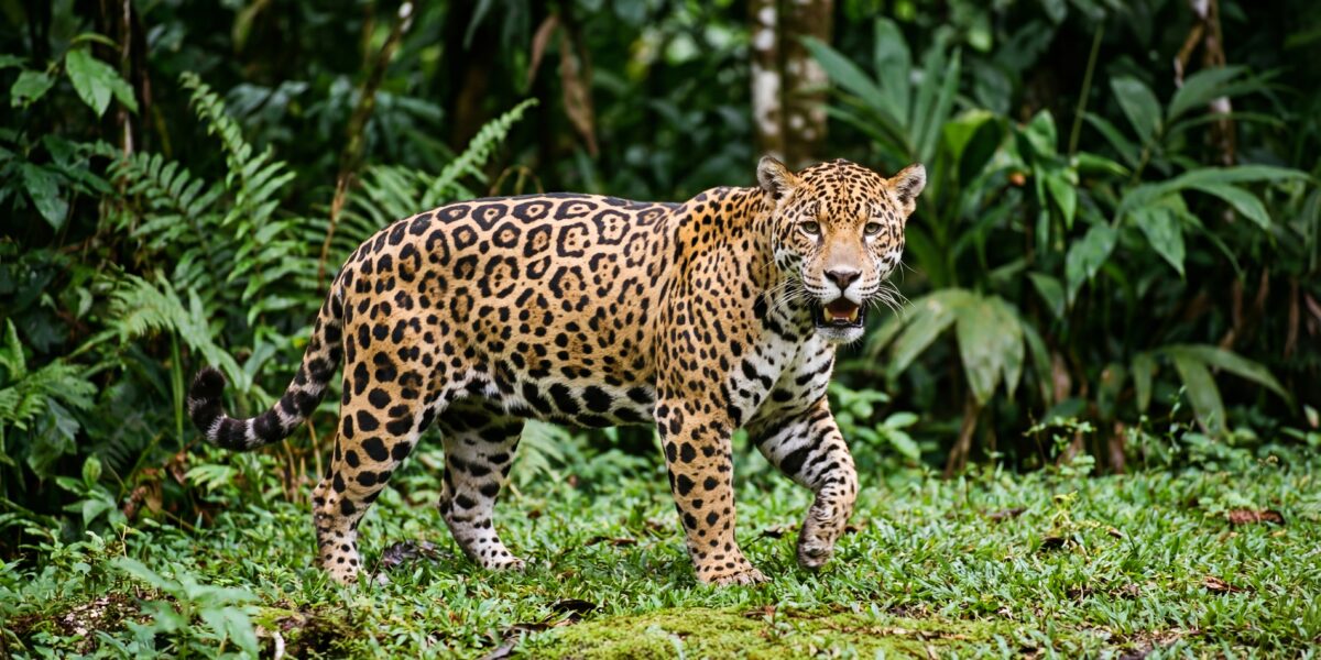 shutterstock 2707600447