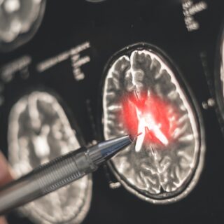 shutterstock 2718496241