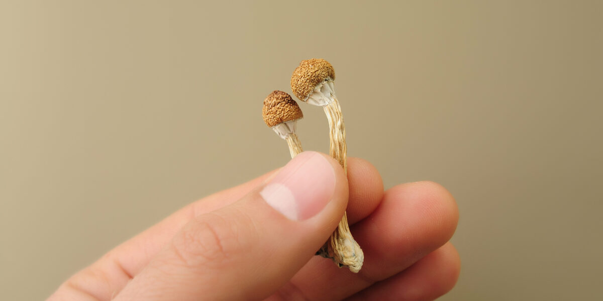 rsz shutterstock 1969024033