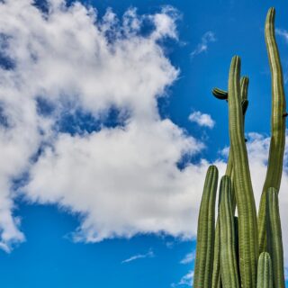 shutterstock 2657766265