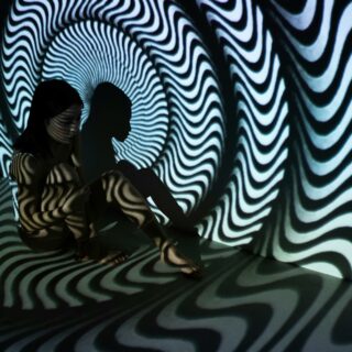 pexels cottonbro 6492140