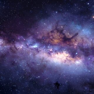 shutterstock 2685094217