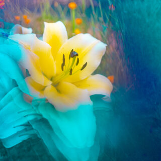 shutterstock 1451695097