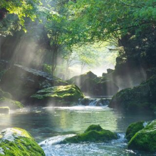 shutterstock 2653116871